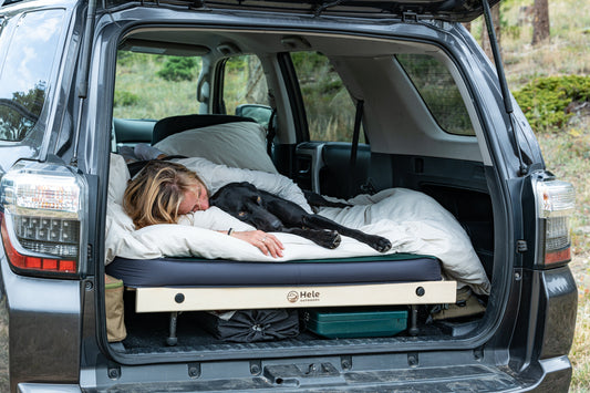 car camping with pet